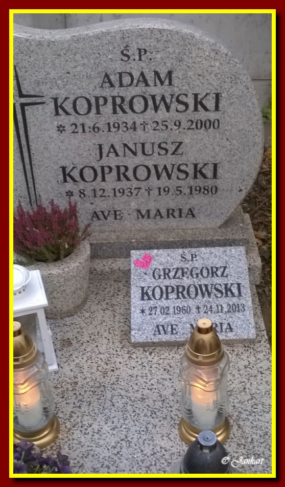 Koprowski A.J.G.